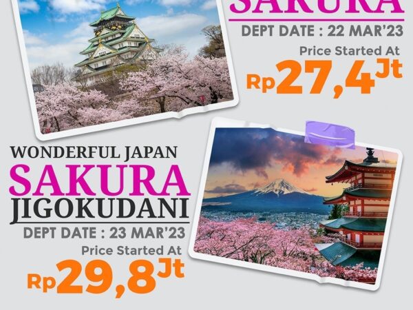 Wonderful Japan Sakura + Jigokudani Dep 23 Mar 23 by CX