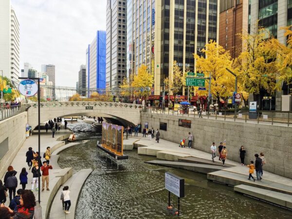 WONDERFUL KOREA FLOWER BEAUTY 8 Days Dep 14, 15, 17, 19, 21 Mar 2026