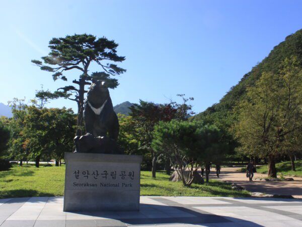DELUXE KOREA JEJU + MT.SORAK 7 Days Dep 22, 29 Jun 2024
