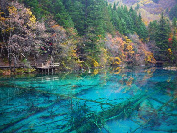 BEST OF JIUZHAIGOU CHONGQING WULONG by MU 10 Days Dep 16 Mar 2026