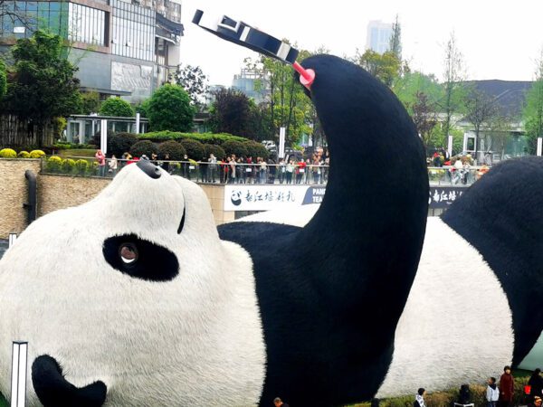 CHENGDU CHONGQING LESHAN + DUJIANGYAN BY CA 8 Days Dep 14, 28 Nov 2026