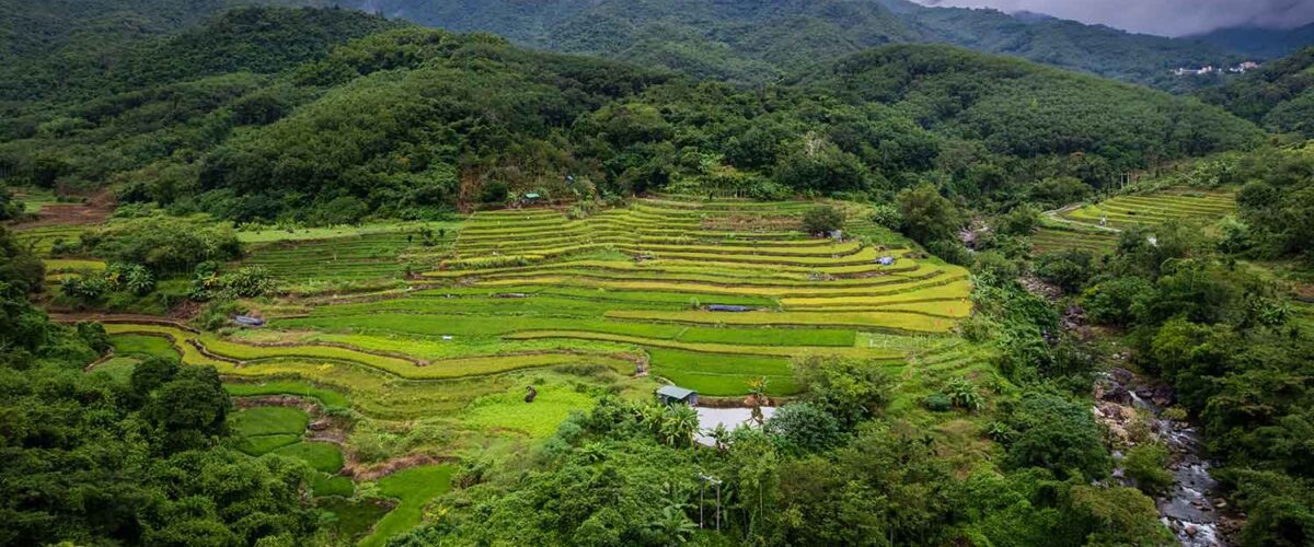 DELIGHTFUL HAINAN BY JT 6 Days Dep 09 Oct 2025 – 05 Feb 2026