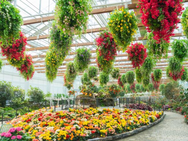 SPRINGTIME KOREA + EVERLAND 8 Days Dep 21 Mar 2026