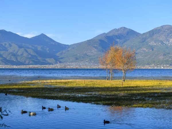 LUSHLY OF YUNNAN 9 Days Dep 13, 20, 27 Mar / 3, 10, 17, 24 Apr / 8, 15, 22, 29 May / 5, 12, 19, 26 Jun 2026